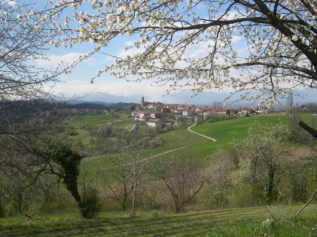 B&B Ca' Dla Nona Brusasco Экстерьер фото